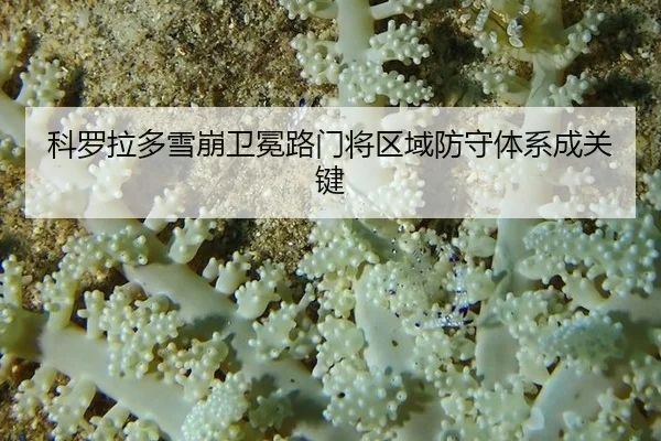 ke-luo-la-duo-xue-beng-wei-mian-lu-men-jiang-qu-yu-fang-shou-ti-xi-cheng-guan-jian-2-609.jpg