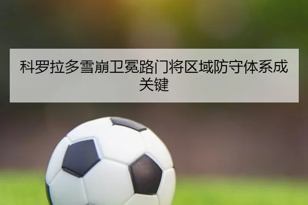 科罗拉多雪崩卫冕路门将区域防守体系成关键