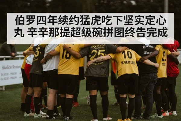 伯罗四年续约猛虎吃下坚实定心丸 辛辛那提超级碗拼图终告完成